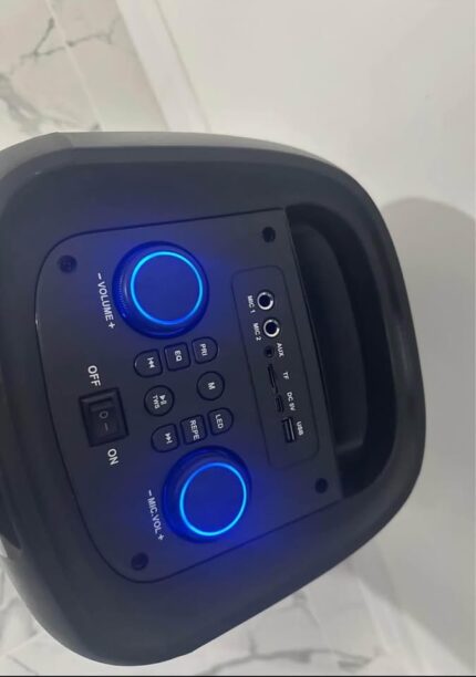 Speaker Double 8” Hifi Sound Rechargeable Speaker with Wireless Mic