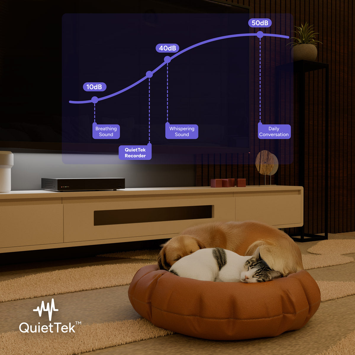 Living room scene with QuietTek branding and a sound level graph on the TV as a dog and cat nap on a bean bag