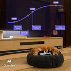 Cozy living room with a Lorex QuietTek receiver on the media console and pets resting on a round pet bed in front of the TV