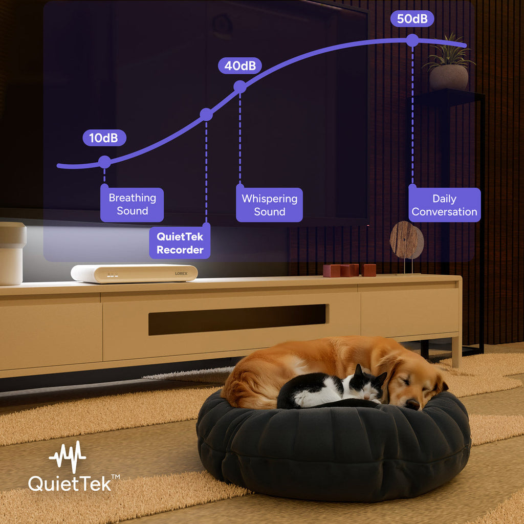 Cozy living room with a Lorex QuietTek receiver on the media console and pets resting on a round pet bed in front of the TV