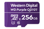 256GB microSD Card (Surveillance Grade) – view 2