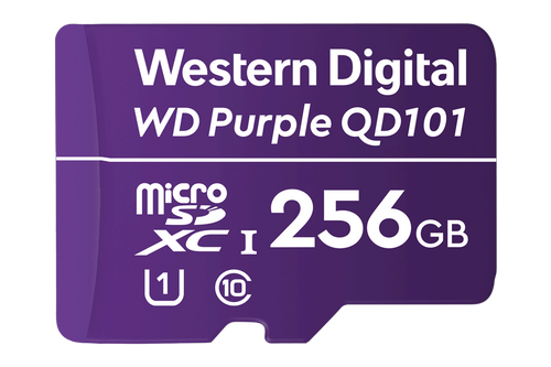 256GB microSD Card (Surveillance Grade) – view 2