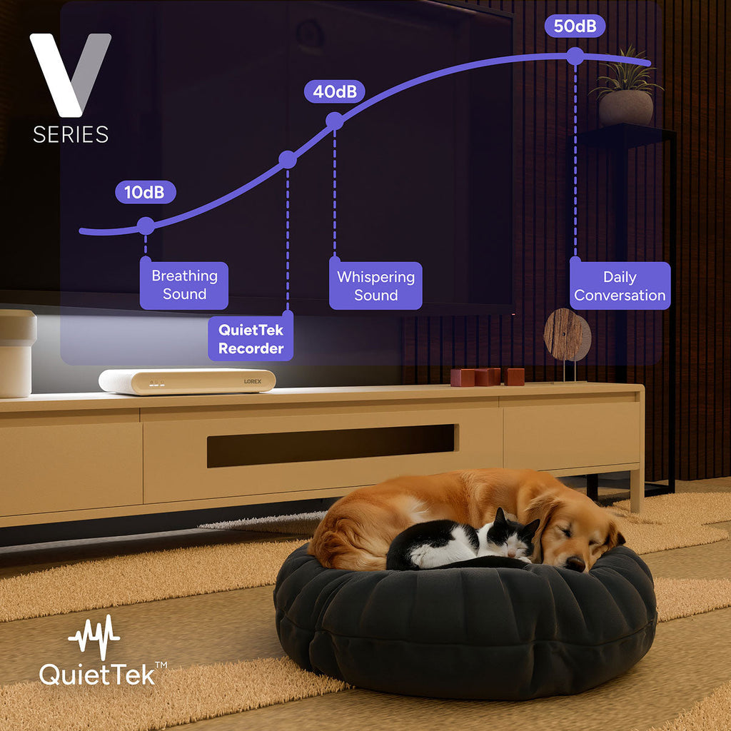 Living room with a white Lorex NVR on a TV stand and a dog and cat resting on a round pet bed